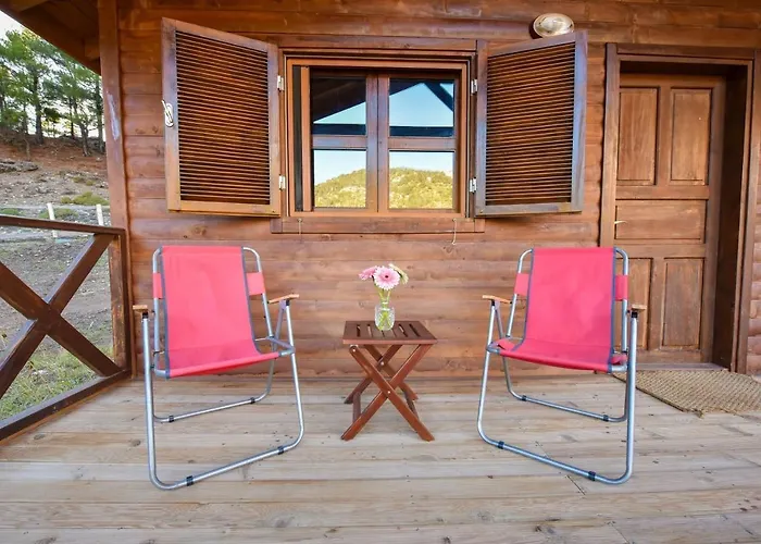 Babakamp Eco Ranch& Retreat