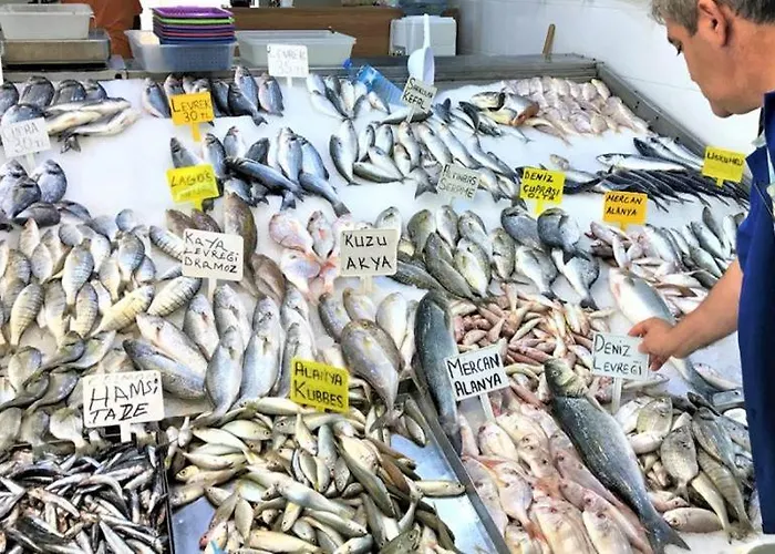 Babakamp Eco Ranch& Retreat מלון 4*