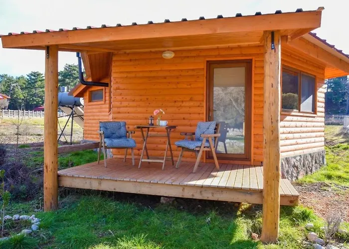 Hotel Babakamp Eco Ranch& Retreat 4*