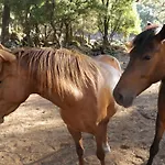 Babakamp Eco Ranch& Retreat