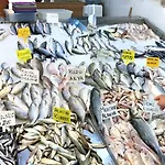 Babakamp Eco Ranch& Retreat 酒店 4*