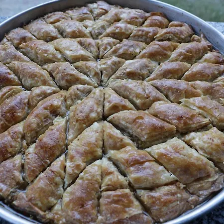 Babakamp Eco Ranch& Retreat 4* Φετιγιέ