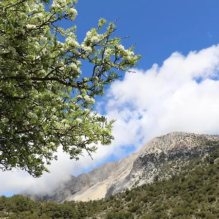Otel Babakamp Eco Ranch& Retreat Fethiye