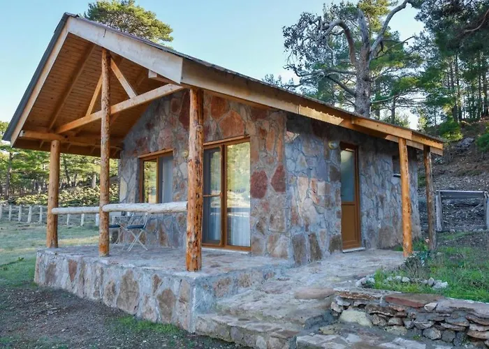 호텔 Babakamp Eco Ranch& Retreat