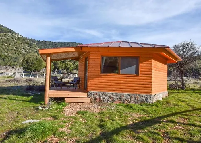 Babakamp Eco Ranch& Retreat 호텔