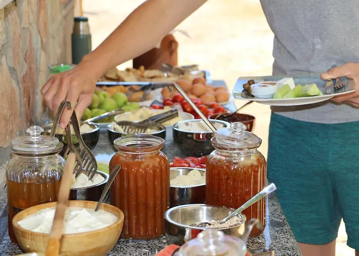 Babakamp Eco Ranch& Retreat 페티예