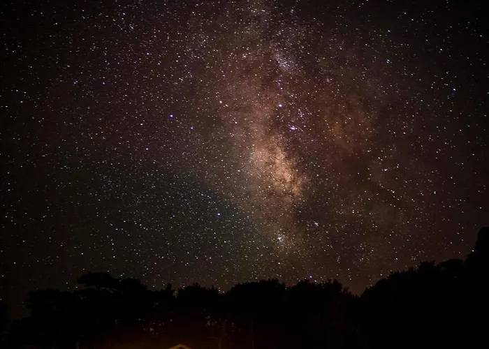 Babakamp Eco Ranch& Retreat 4*