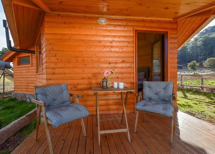 Babakamp Eco Ranch& Retreat 호텔