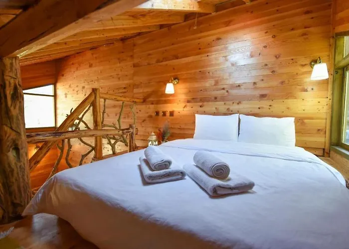 호텔 Babakamp Eco Ranch& Retreat 페티예