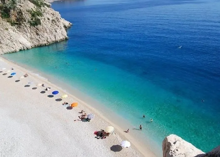 Babakamp Eco Ranch& Retreat 페티예