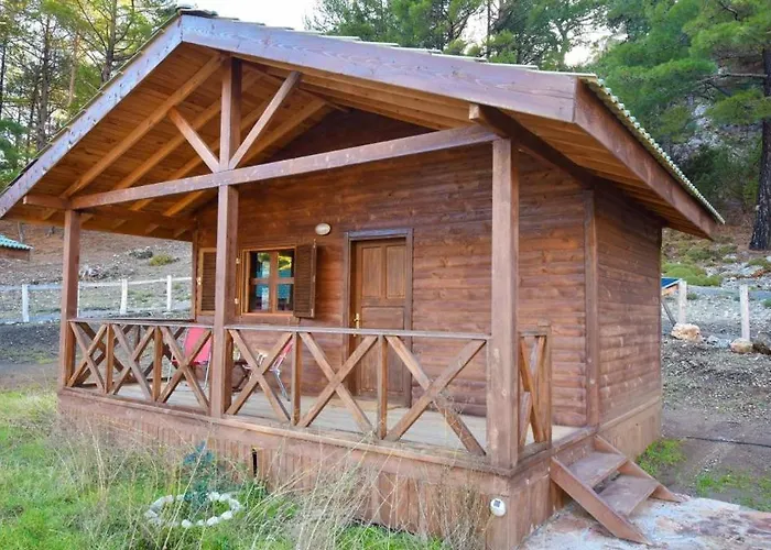 호텔 Babakamp Eco Ranch& Retreat