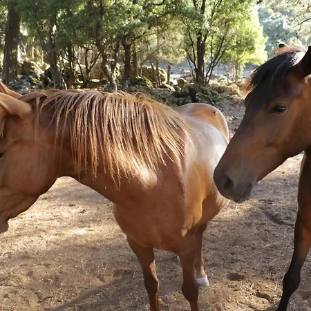 Babakamp Eco Ranch& Retreat