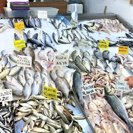 Babakamp Eco Ranch& Retreat Hotel 4*