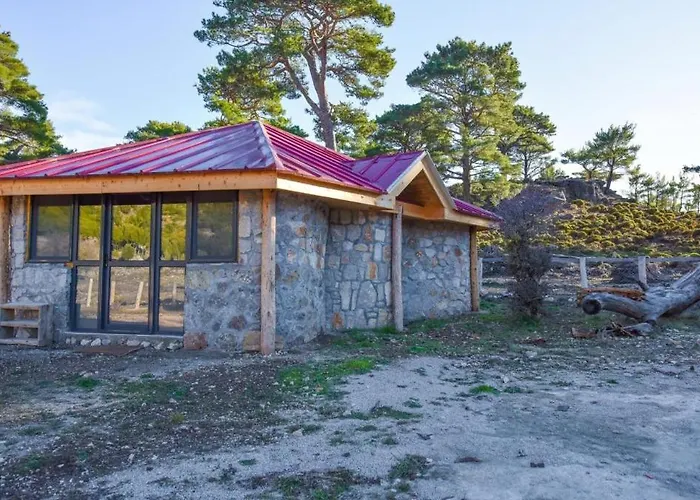 Babakamp Eco Ranch& Retreat