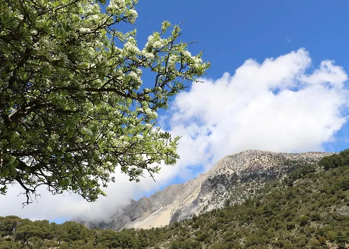 Отель Babakamp Eco Ranch& Retreat Фетхие